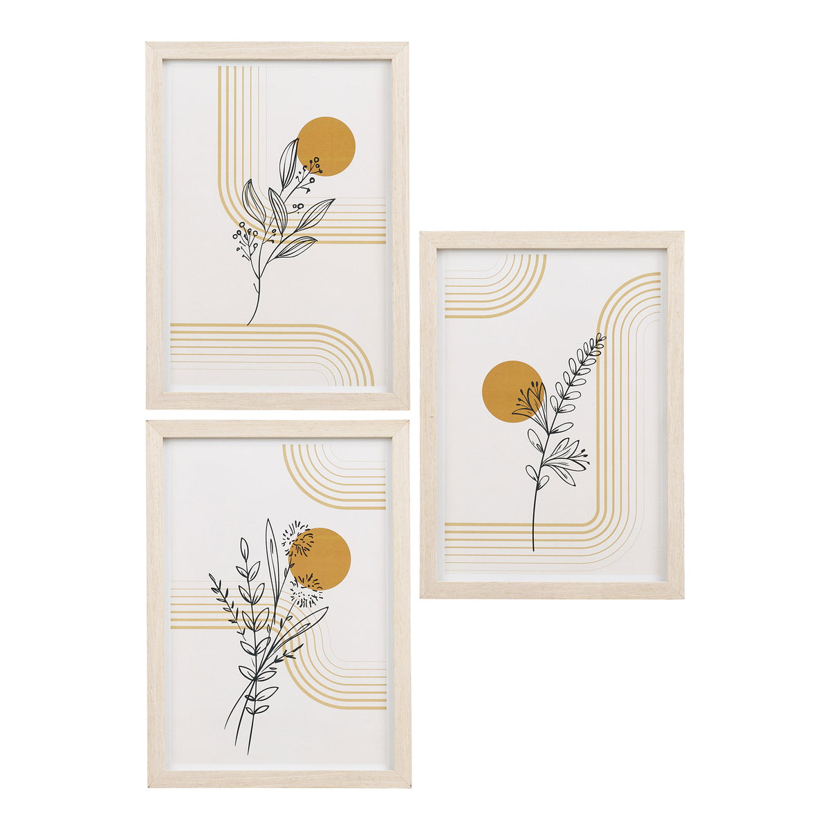 Botanik – Ramset, set om 3
