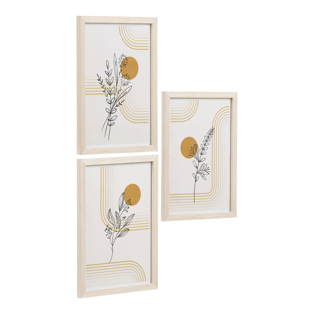 Botanik – Ramset, set om 3