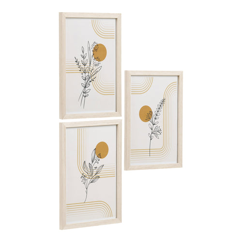 Botanik – Ramset, set om 3